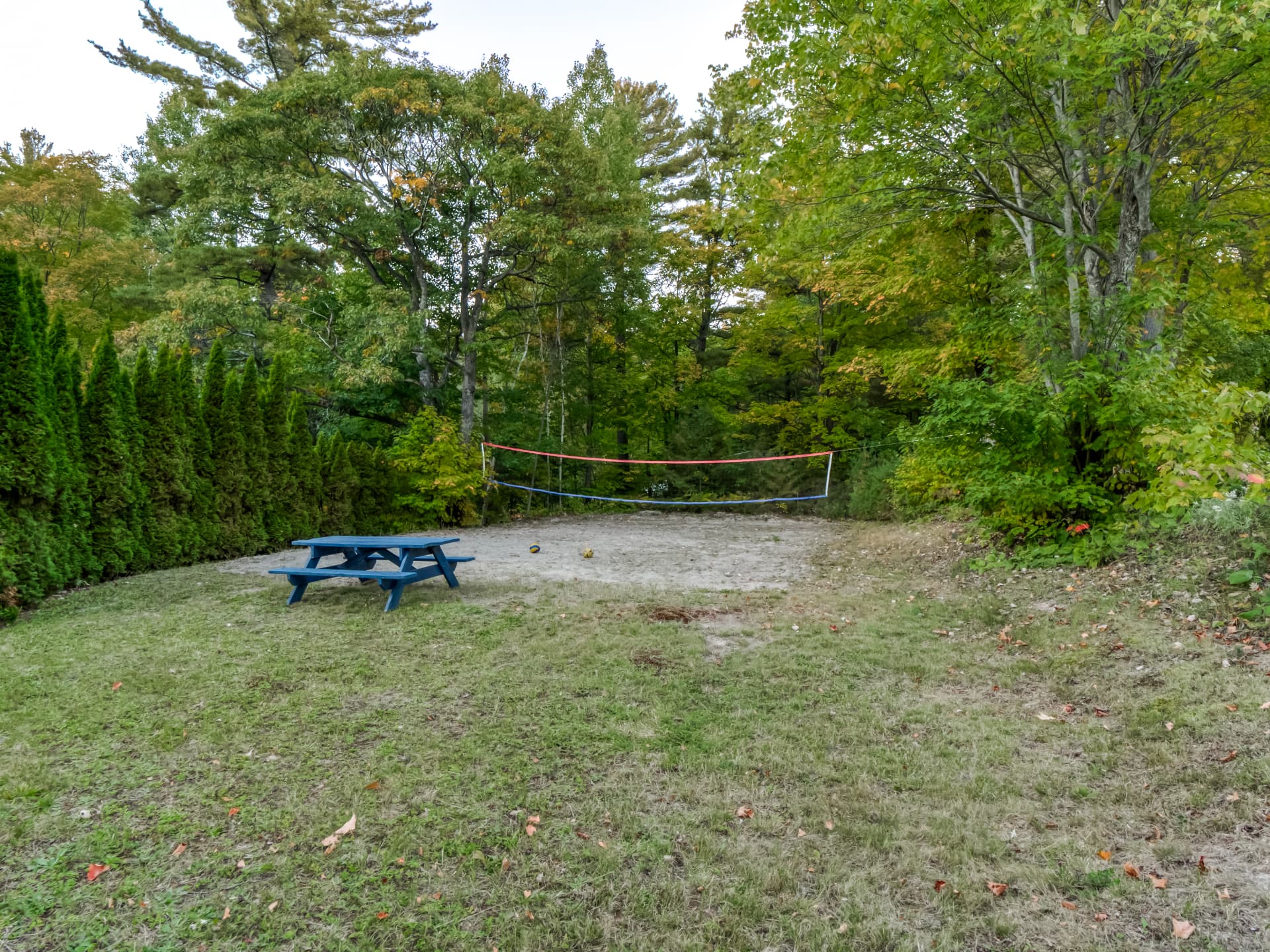 Beach volleyball area with a picnic table among the trees