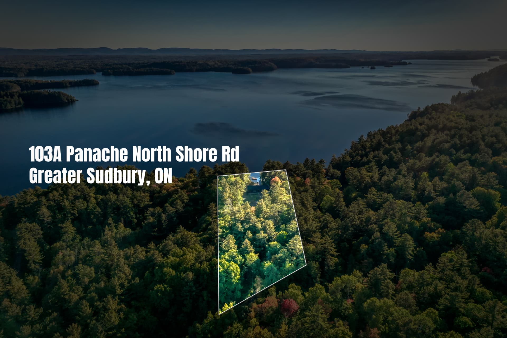 Aerial photo of the wooded Lake Panache shoreline with the property boundary outlined